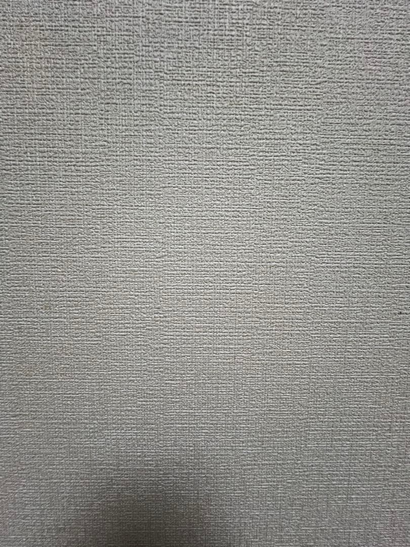 【最終値下げ】iPhone13pro 256GB シルバー simフリー