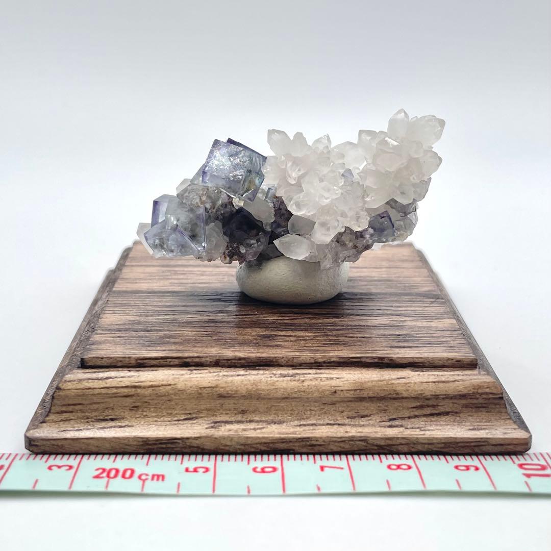 ナミビア オコルス鉱山産 フローライト/クォーツ　共生標本