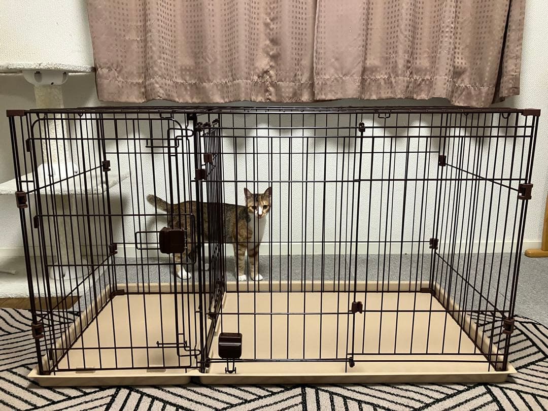 ブラウン 金属製キャットハウス 大きめ 2ドア