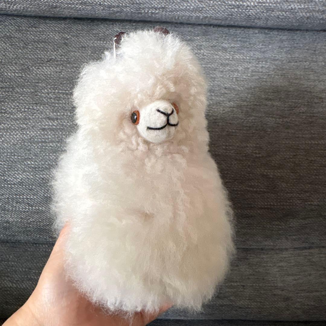 アルパカフェア　アルパカぬいぐるみ