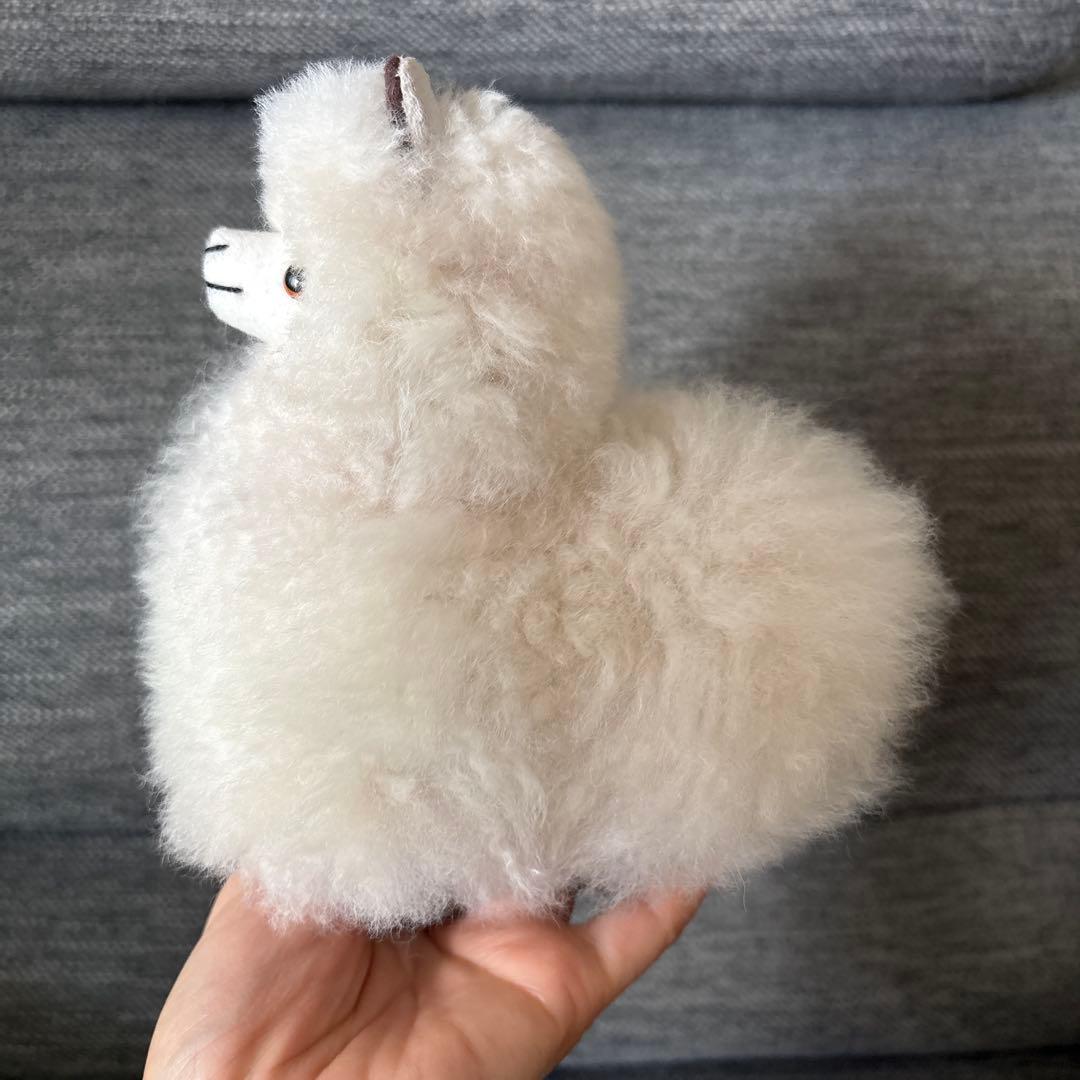 アルパカフェア　アルパカぬいぐるみ