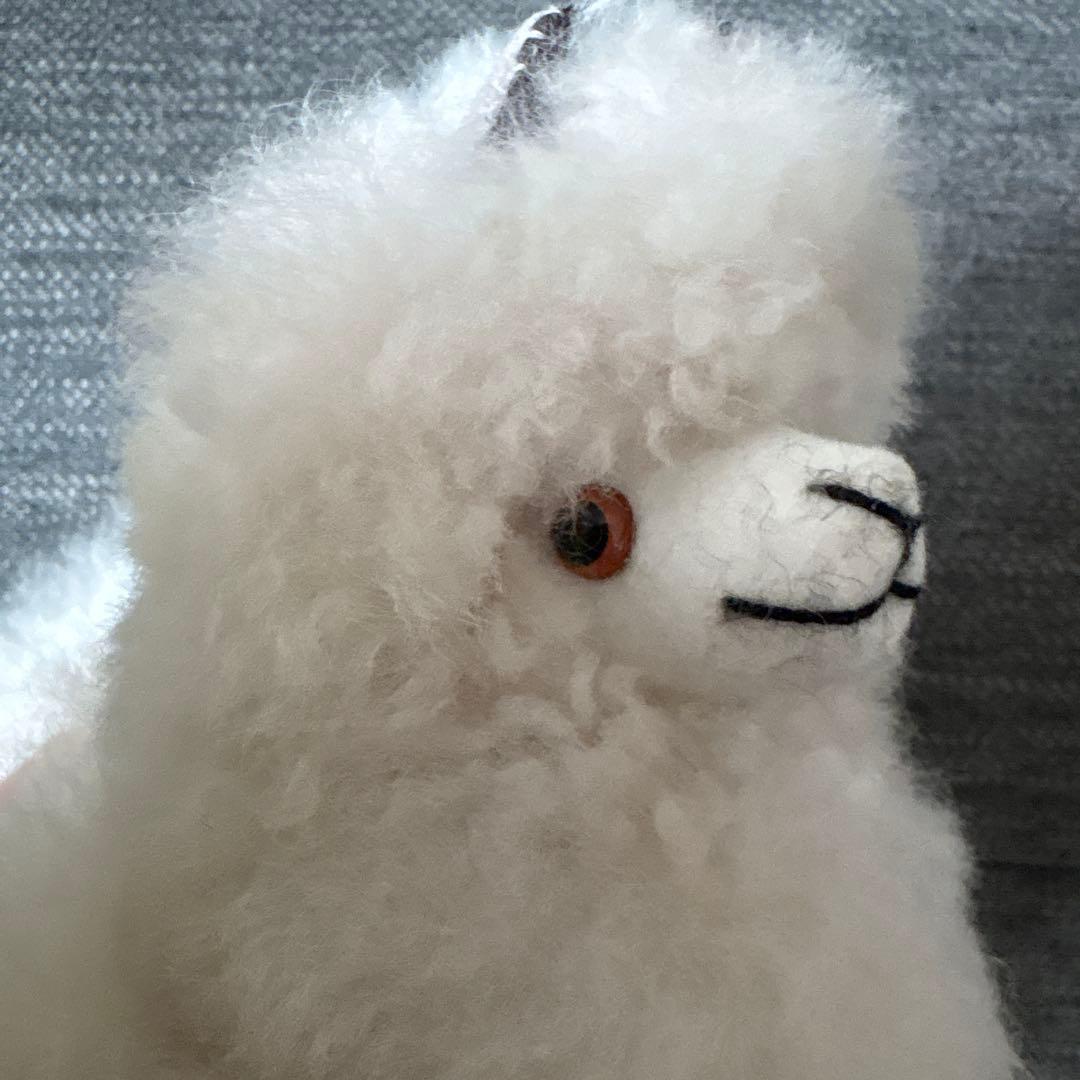 アルパカフェア　アルパカぬいぐるみ