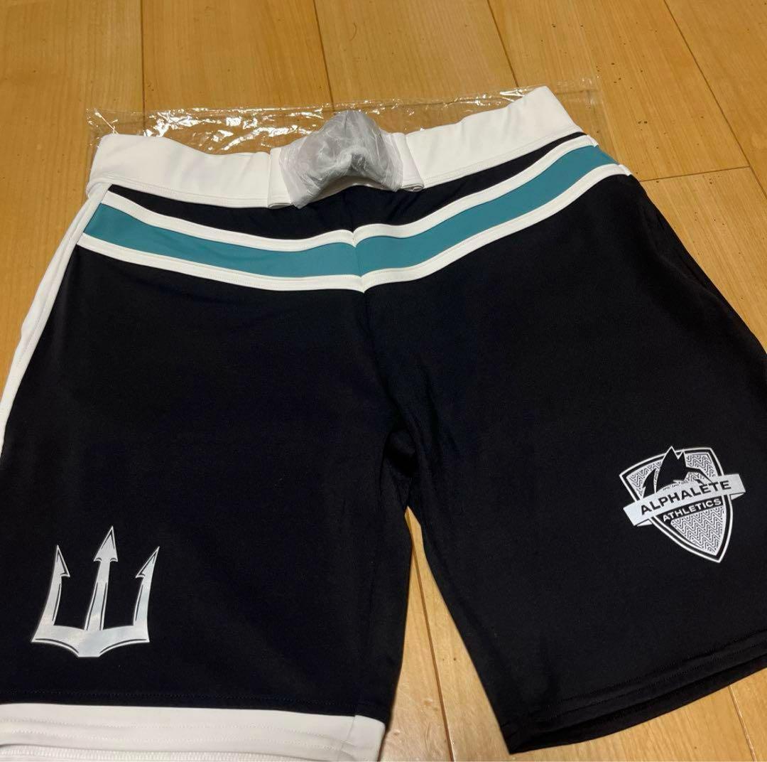 サーフパンツ　フィジーク　29インチ　アルファリート　Alphalete