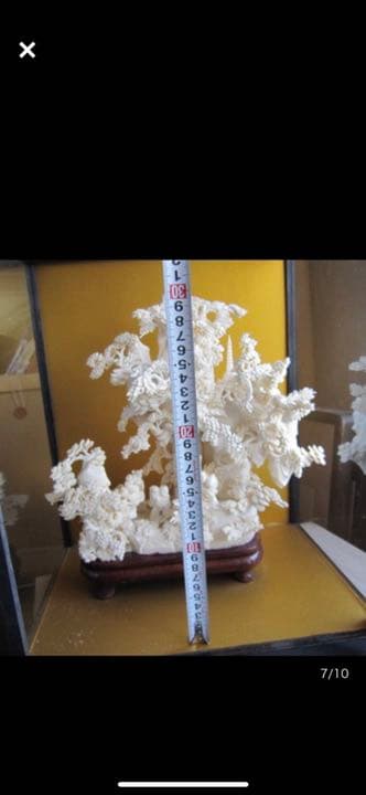 中国  細密  彫刻 置物