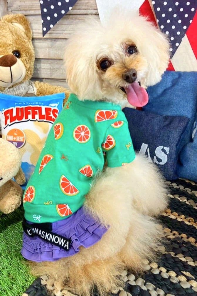 直営店限定2枚セット NC☆フレッシュORTasknowasdewan