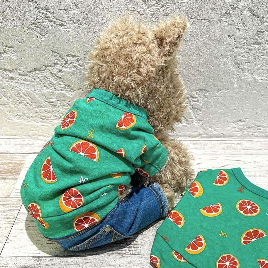 直営店限定2枚セット NC☆フレッシュORTasknowasdewan