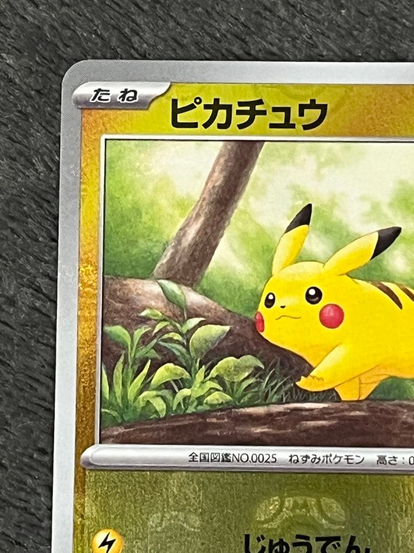 ピカチュウ マスターボールミラー 151