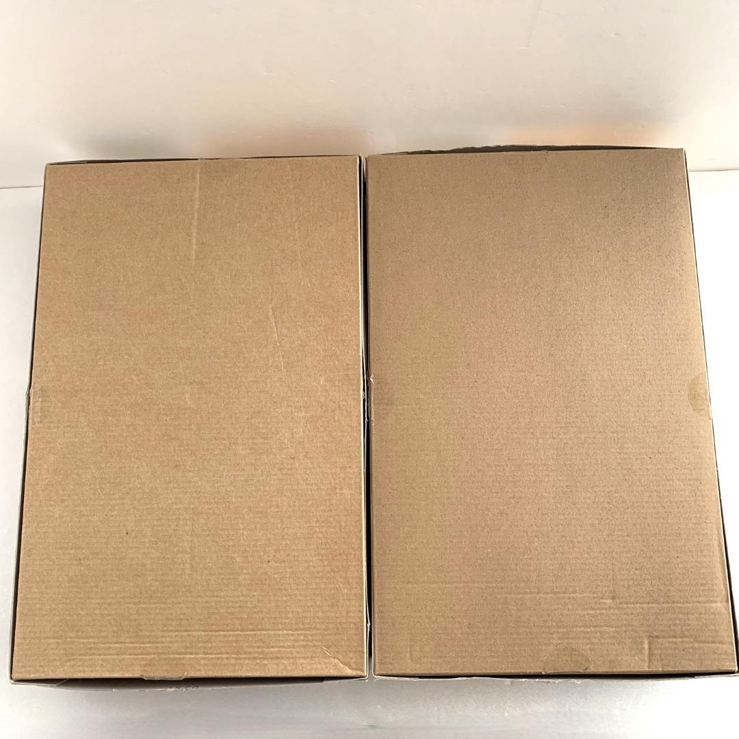 ドラゴン 1/35 ドイツ軌上重装甲偵察車ドライジーネ 2台セット