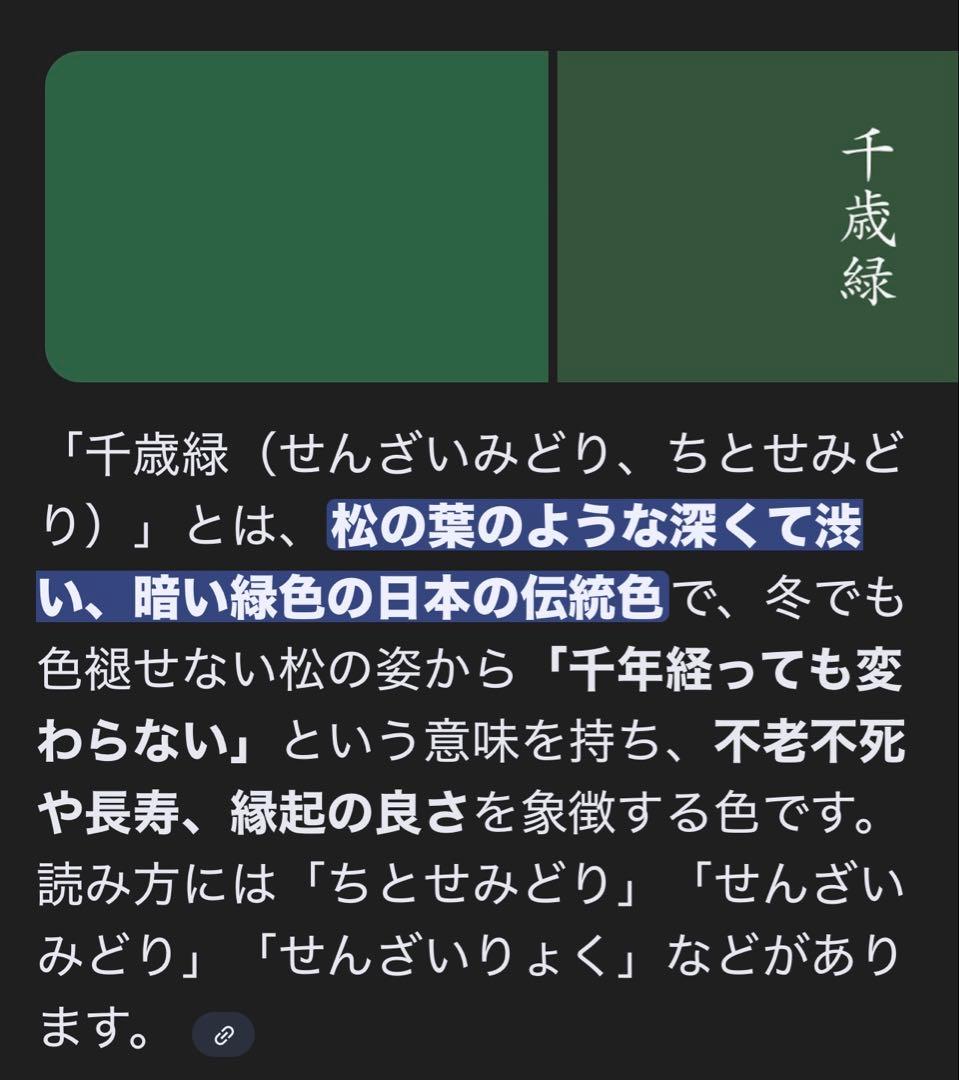 80's LLBean ウォームアップジャケット　希少カラー　裏地柄フリース