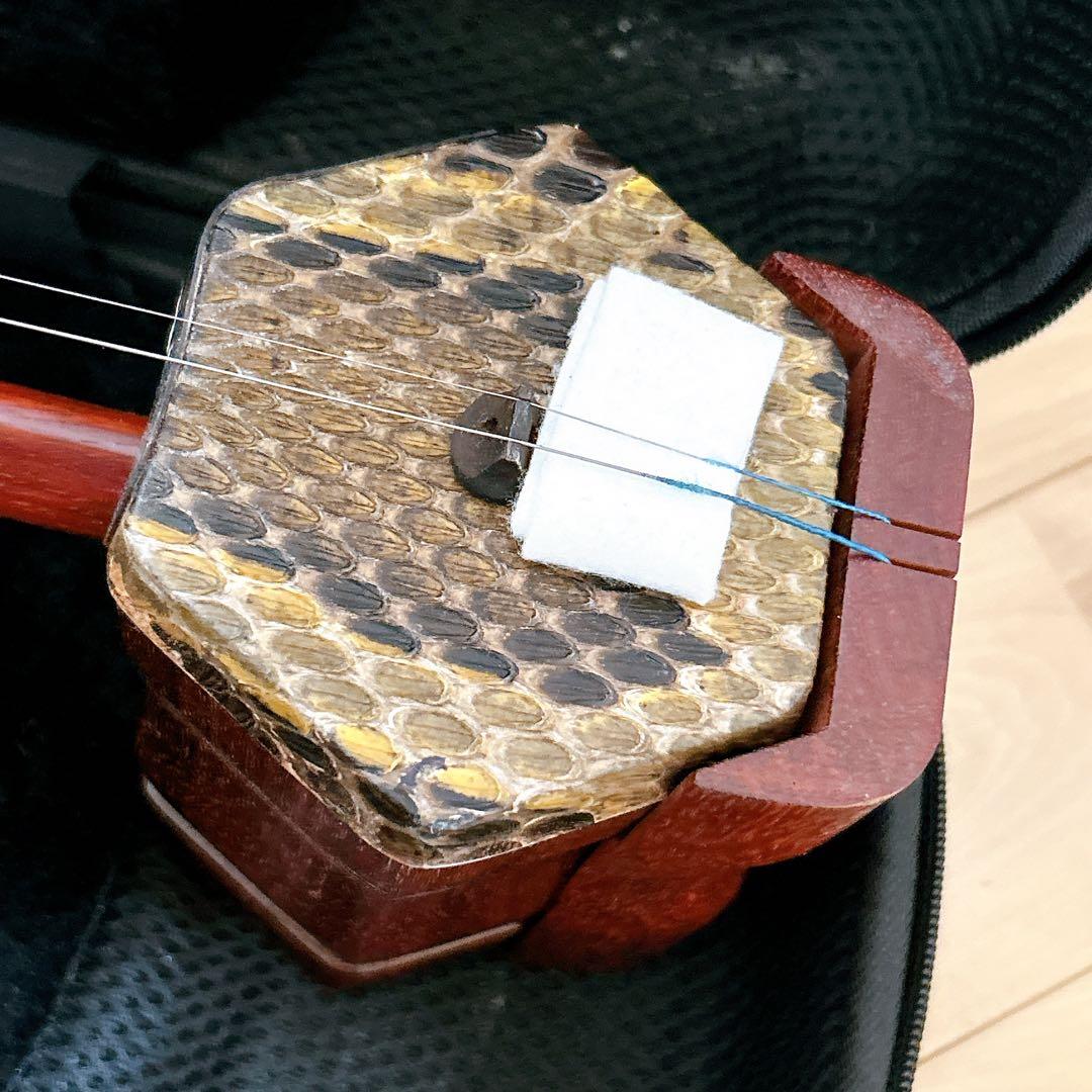 二胡 紅木 彫刻 蛇皮 民族楽器 弓 ケース