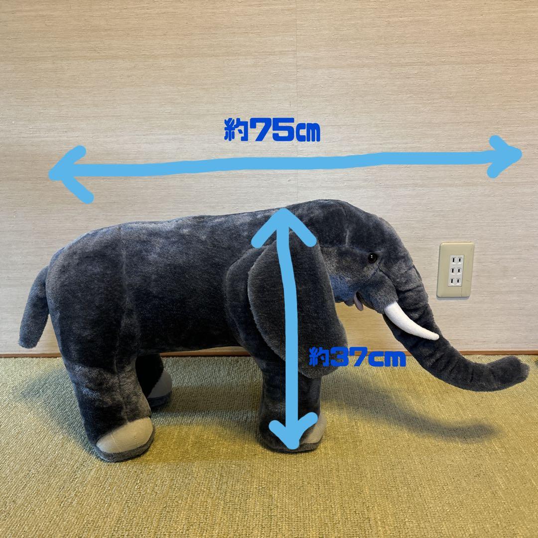 希少　ゾウの椅子