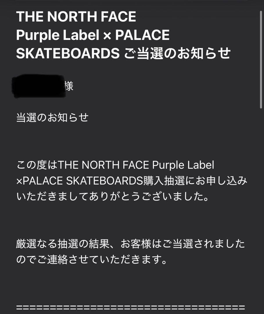【新品未使用】PALACE×THE NORTH FACE GLOVE グレー　M