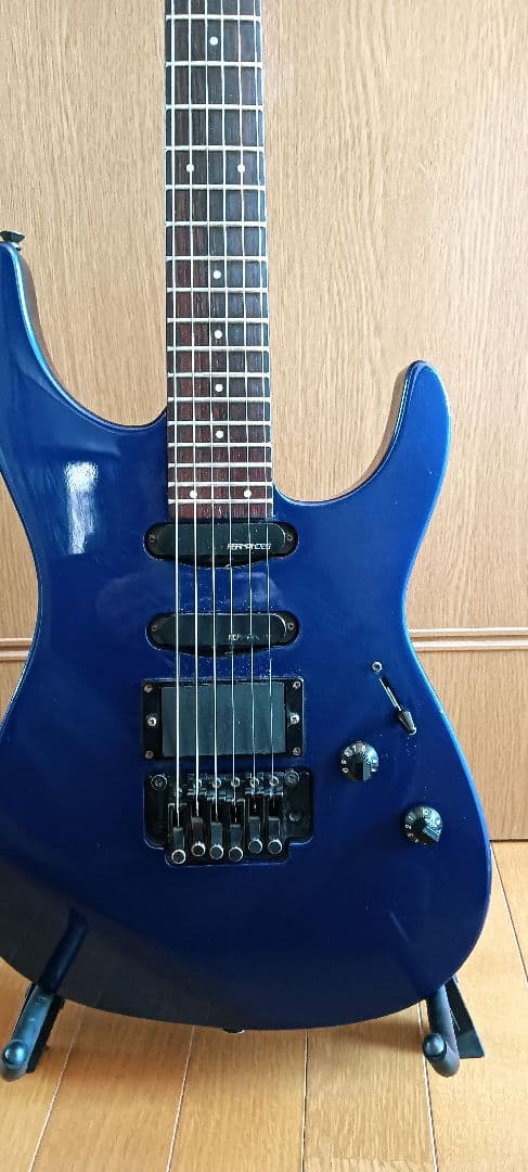 フェルナンデス fr55