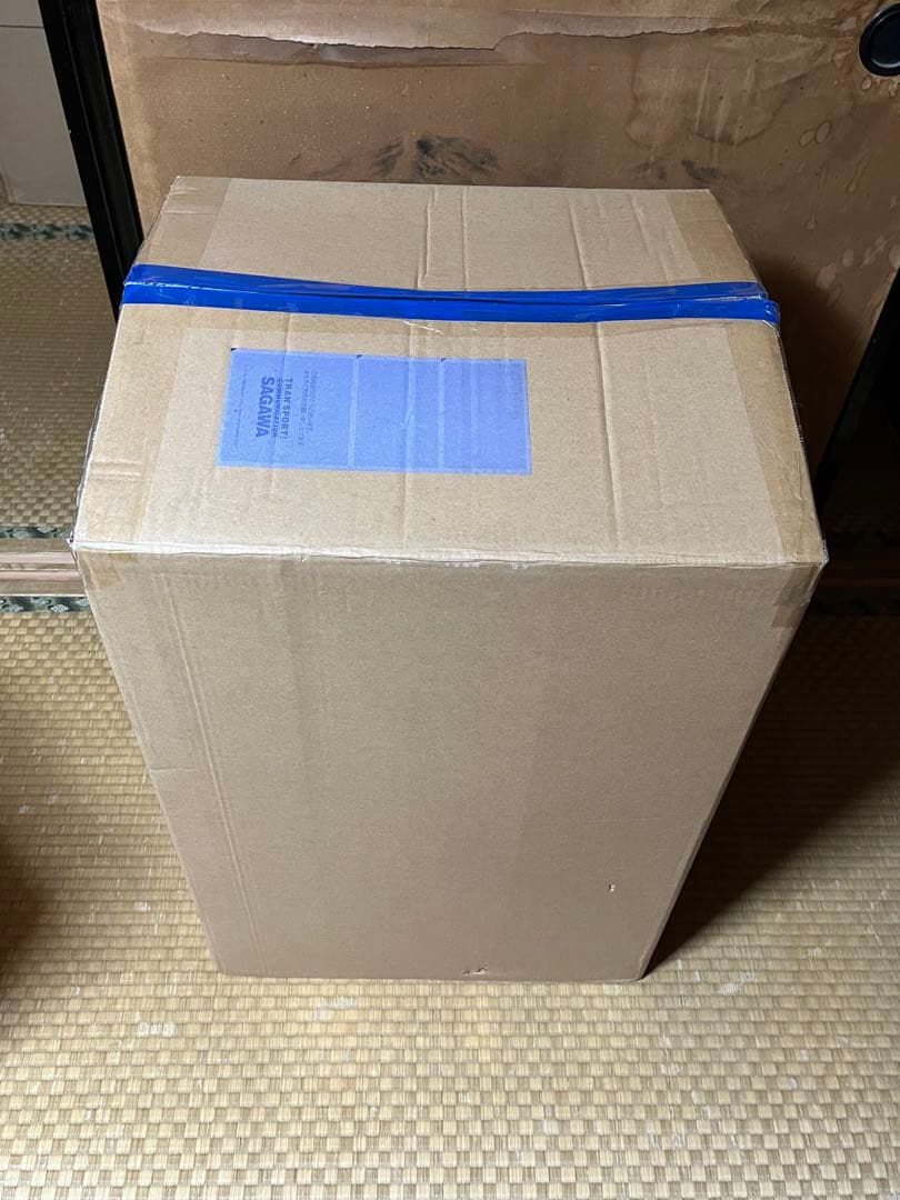 東方Project GIFT ぬいぐるみ ふもふも でかふも チルノ EX3