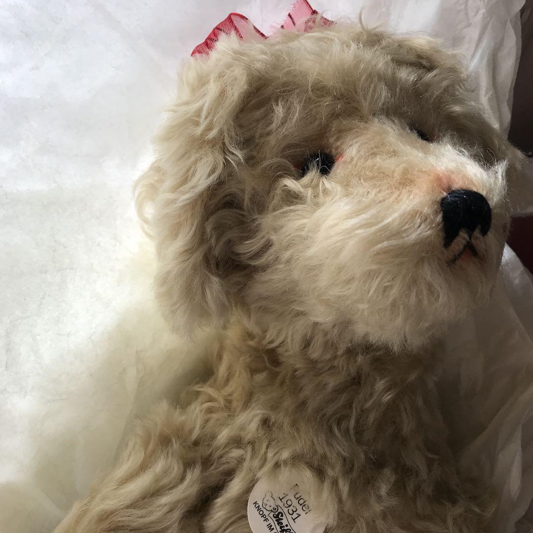 日本限定　５０体　シュタイフ　プードル　1931