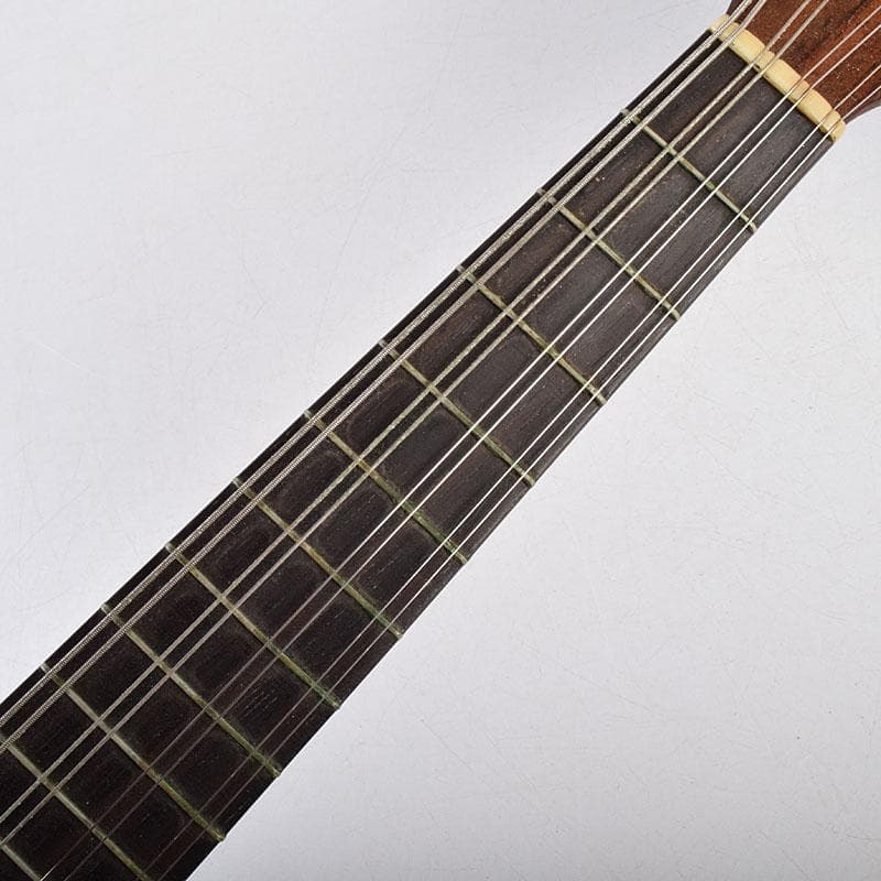 Rokutaro Nakade　中出六太郎　マンドリン　A70　M　R9222B