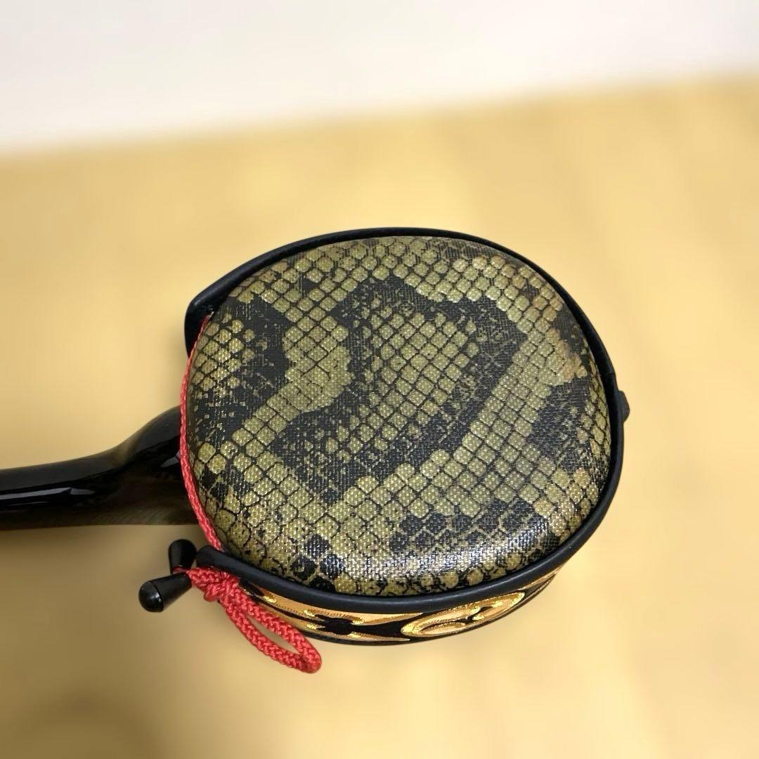 沖縄三線　リュック型ソフトケース付き