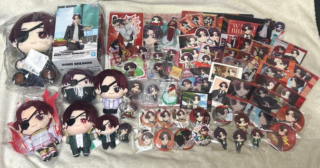 ⚠️代行業者断固拒否⚠️ WIND BREAKER 蘇枋隼飛セット