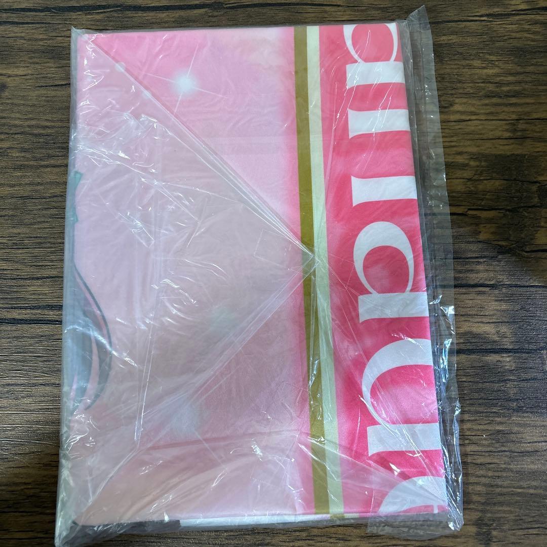 ヒーリングっど プリキュア 特大布ポスター 花寺のどか