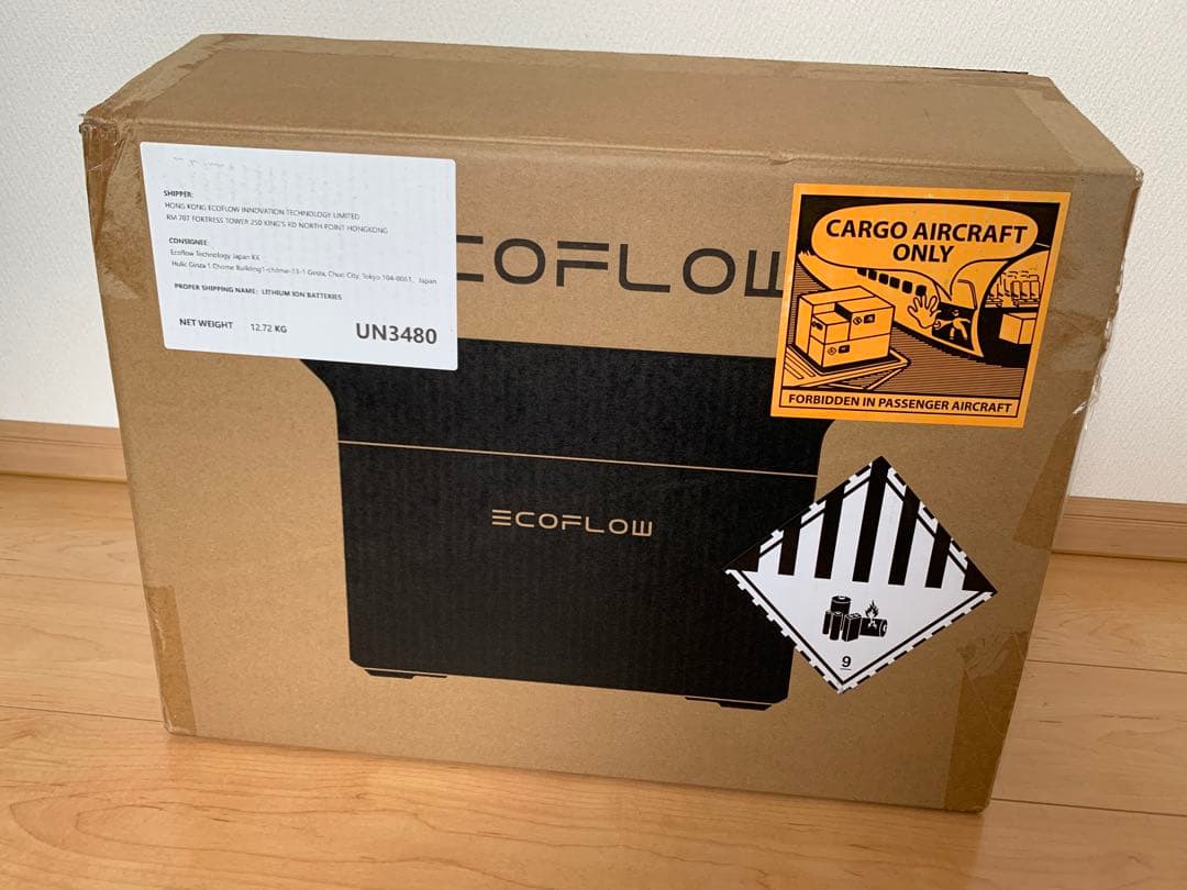 EcoFlow DELTA 3 本体 ＋ 専用収納バッグセット