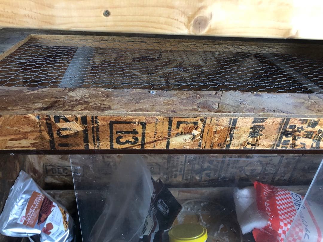 1200ゲージ爬虫類、猛禽類