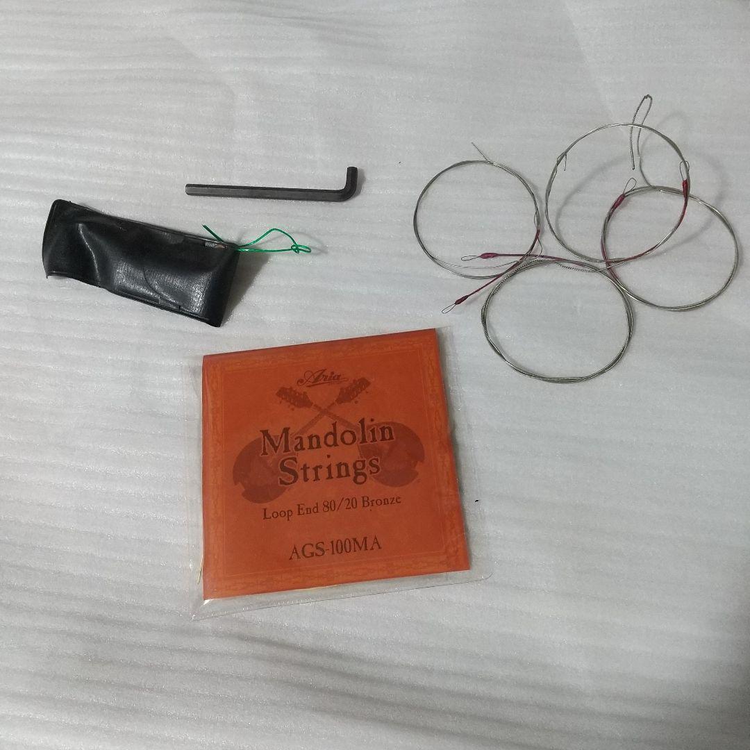 70s? Jagard フラットマンドリン ハードケース付き ジャパンビンテージ