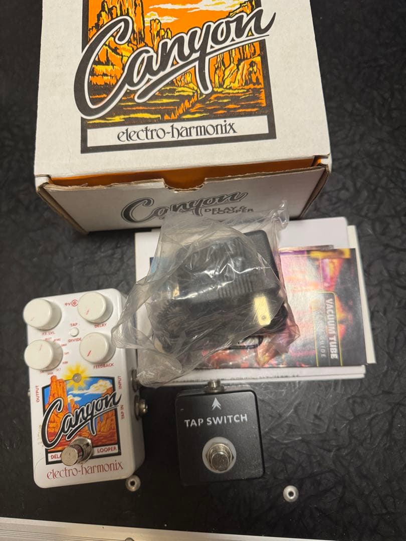 electro-harmonix Canyon tapswitch付き