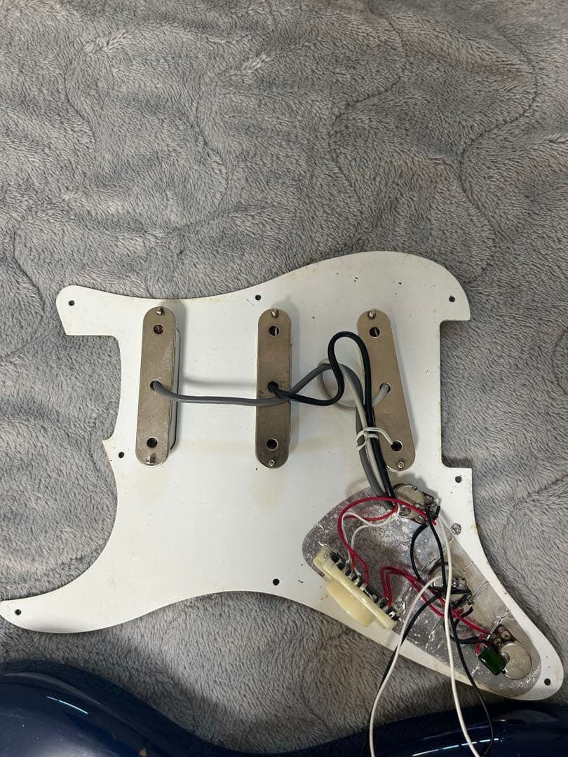 【レアカラー】Ｆｅｎｄｅｒ　Ｓｑｕｉｅｒ