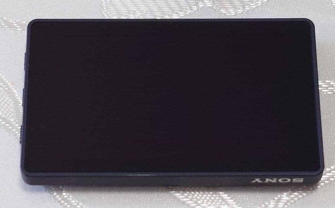 SONY Vlog Monitor 約5インチディスプレイ