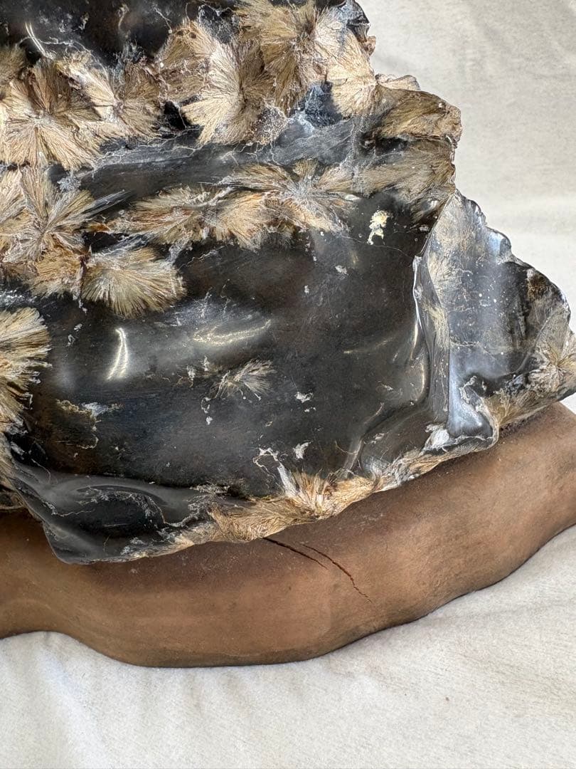 黄金菊花石　岩手県　陸中川井産　天然石