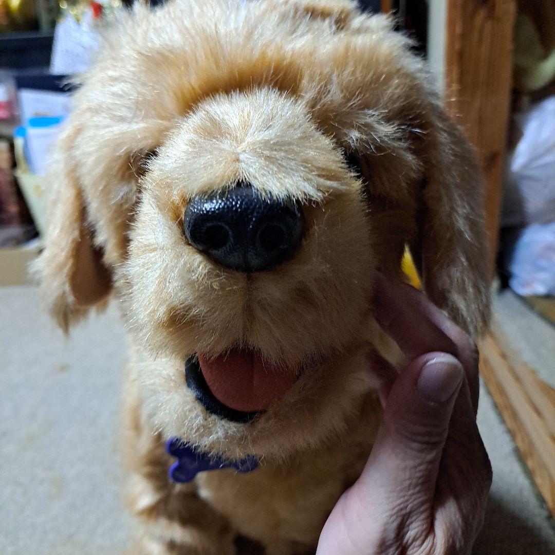 夢いぬDX　ゴールデンレトリバー　希少　BIG　癒し