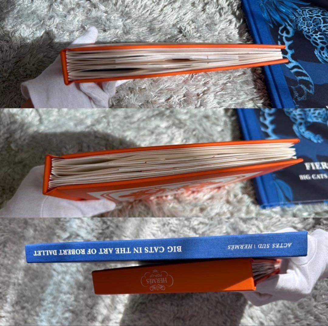 エルメス 飛び出す絵本 画集 2冊セット 写真集　ロバート　ダレ　画集　洋書