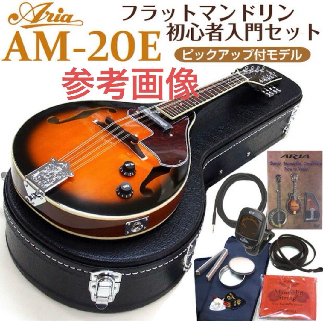 【新品未使用】フラットマンドリン ARIAアリアAM-20E 初心者11点セット