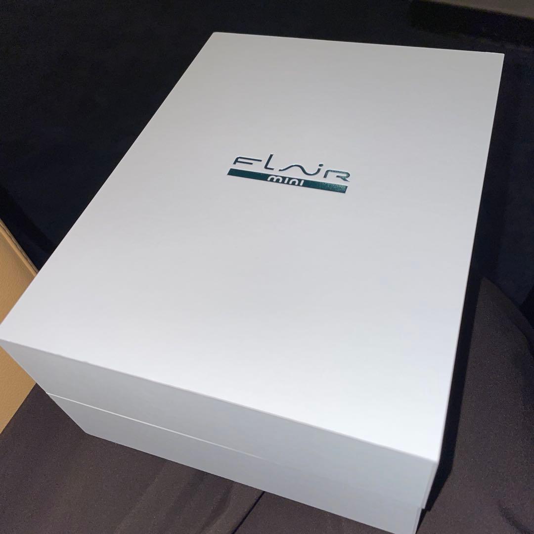 FLAIR mini 水素ケア フェイススチーマー