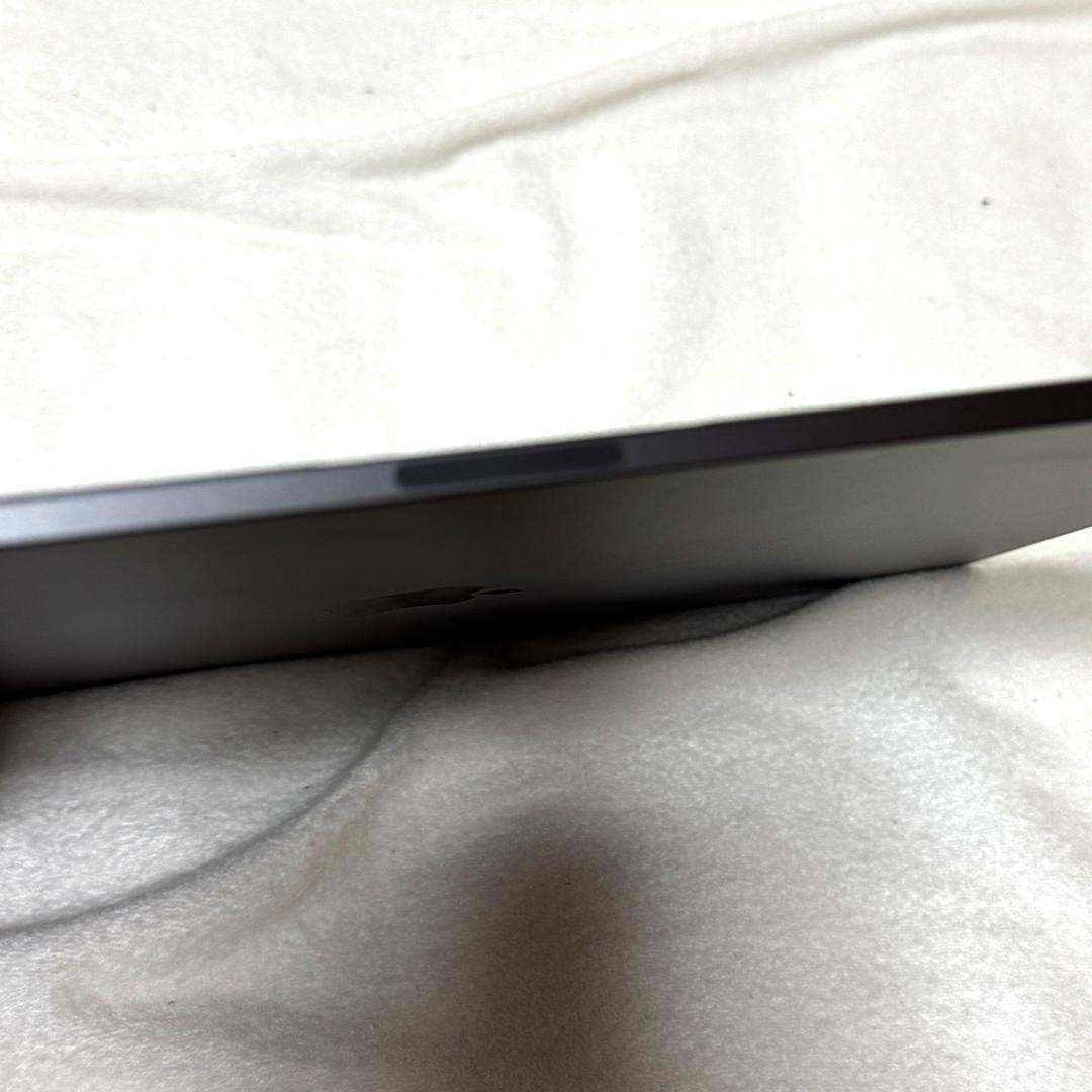 13インチiPad Pro(M4)Wi-Fi 256GB フィルム貼付 ケース付