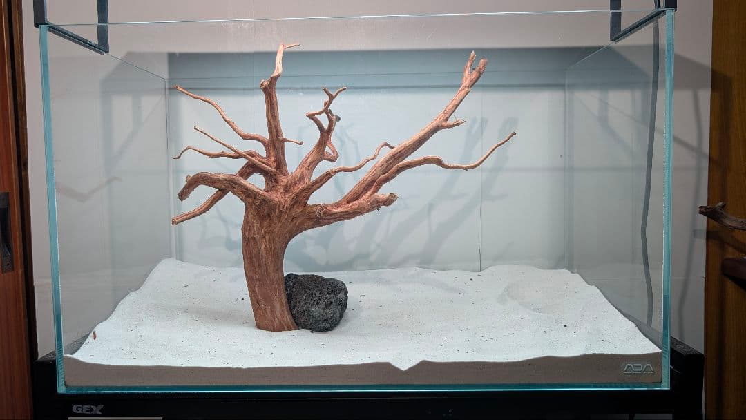 スマトラブランチウッド【SBC132】アクアリウム 水槽 流木 まとめ買い対応