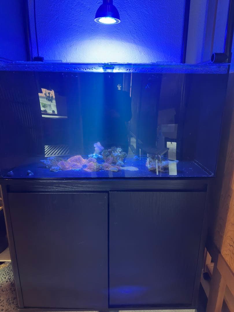 オーバーフロー水槽 900×450×450 台 ポンプ 照明セット　ブラック菅