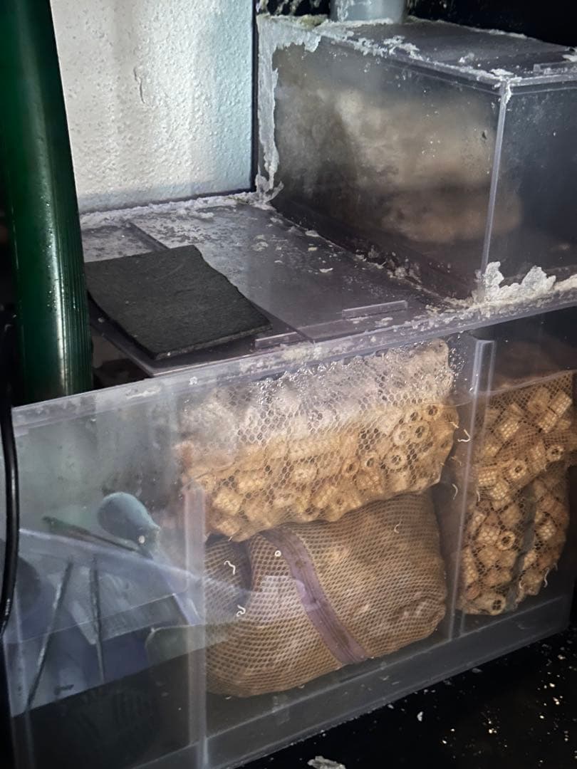 オーバーフロー水槽 900×450×450 台 ポンプ 照明セット　ブラック菅