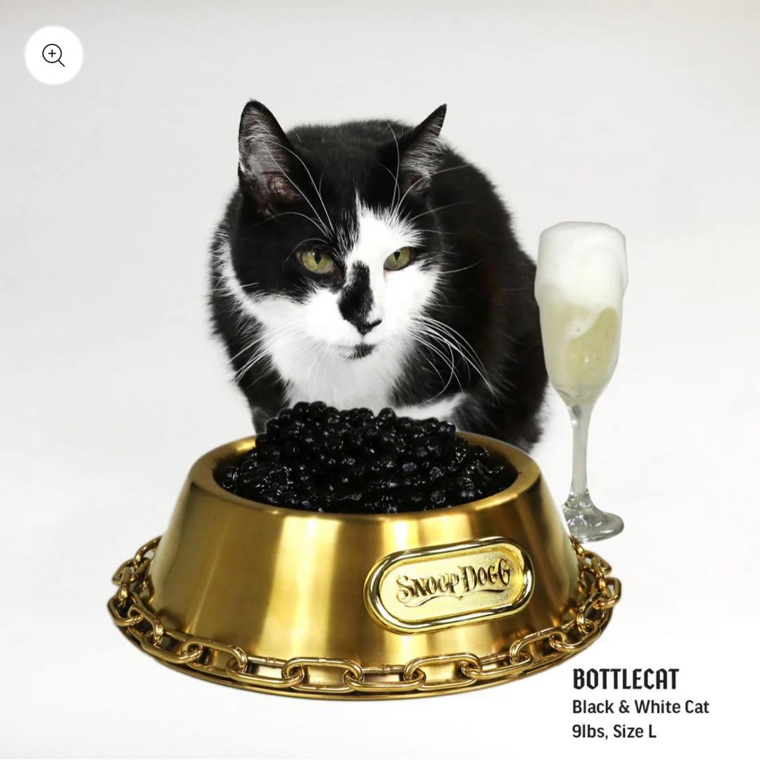 スヌープドッグ　お皿　フードボール　金色　Lサイズ　カッコイイ　犬　コラボ