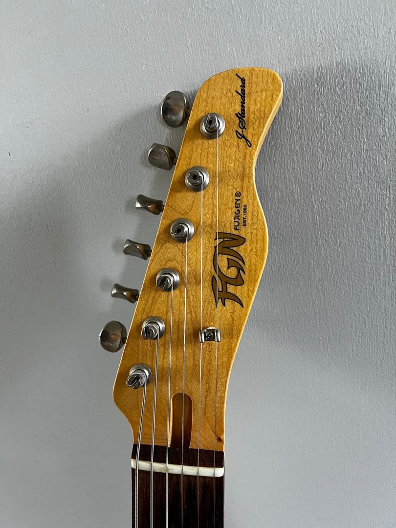 Fujigen(FGN)　J-Standard　テレキャス２ハムタイプ