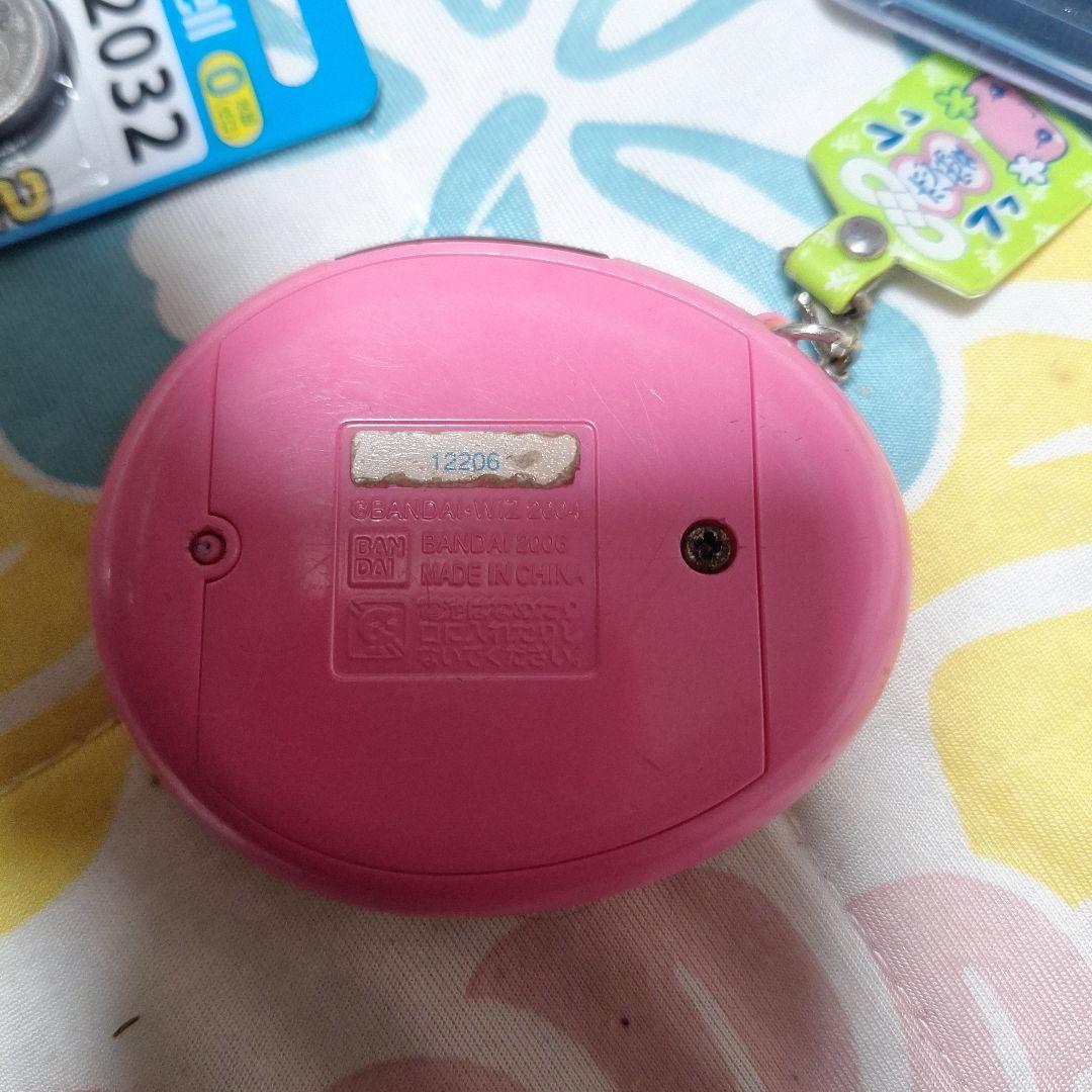 たまごっちスクール　せーとぜーいんしゅーごっち！2じかんめ　スクールふらわー