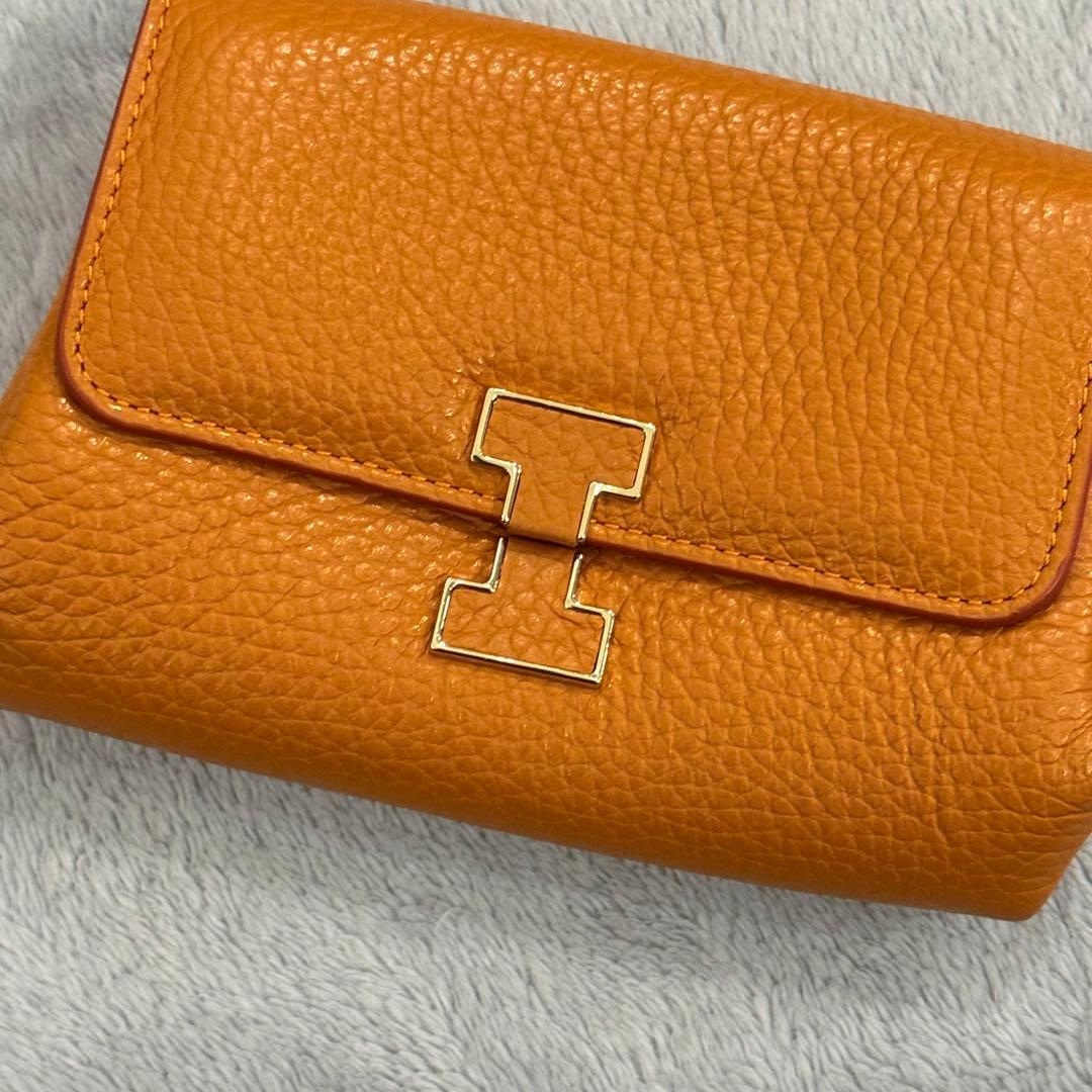 ⭐️新品未使用⭐️　IACUCCI イアクッチ　アバ ウォレット CERVO 折財布