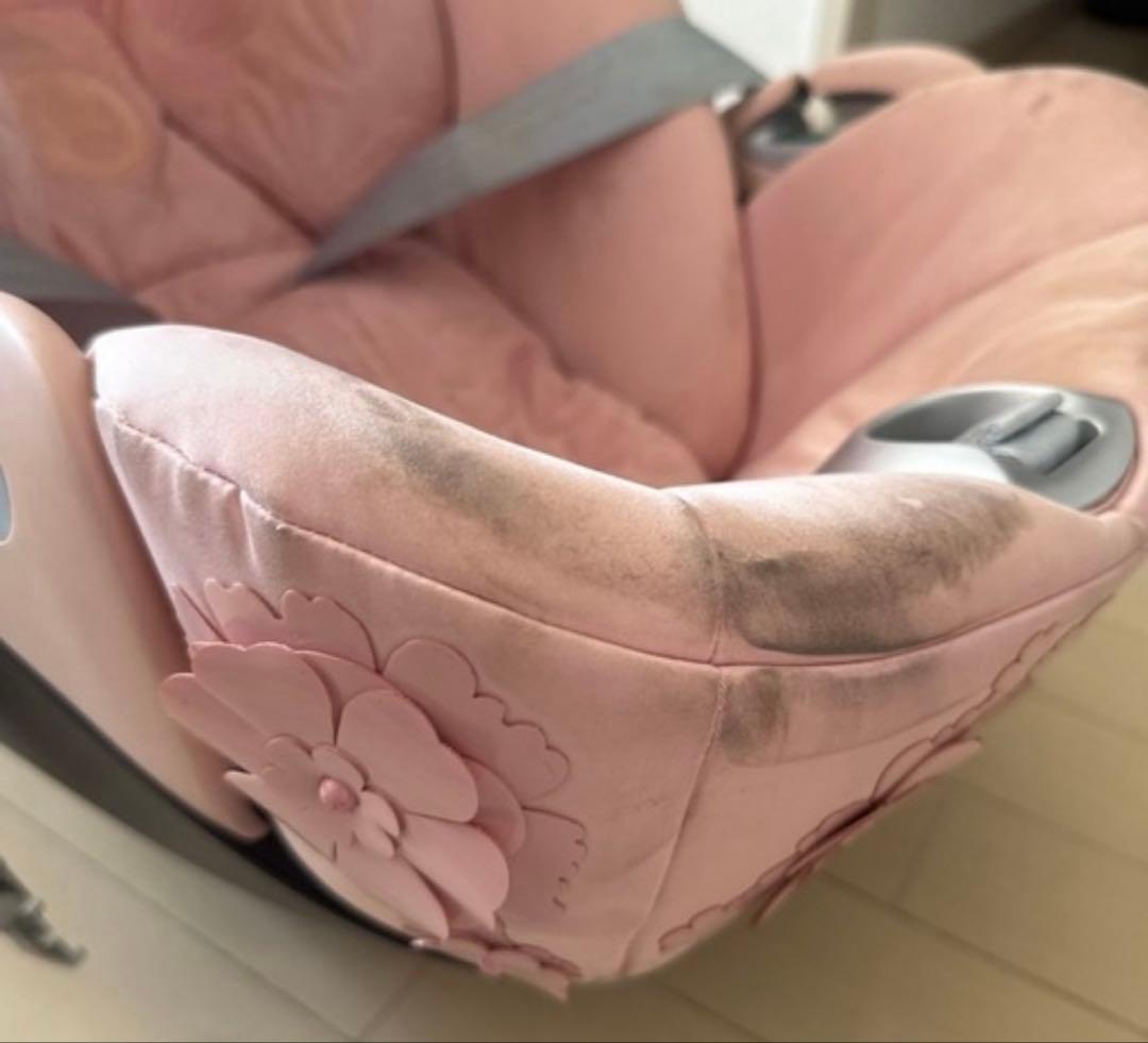 クラウド Z2i-Size FE シンプリーフラワーズ サイベックス