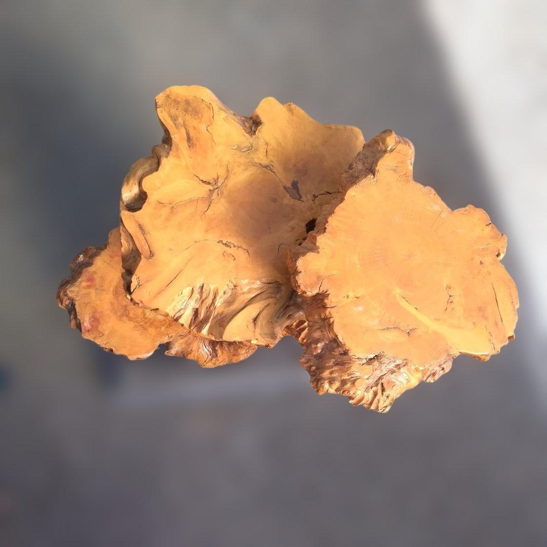 花台、工芸品、置物、自然木、アート、インテリア、展示会、盆栽、盆栽鉢