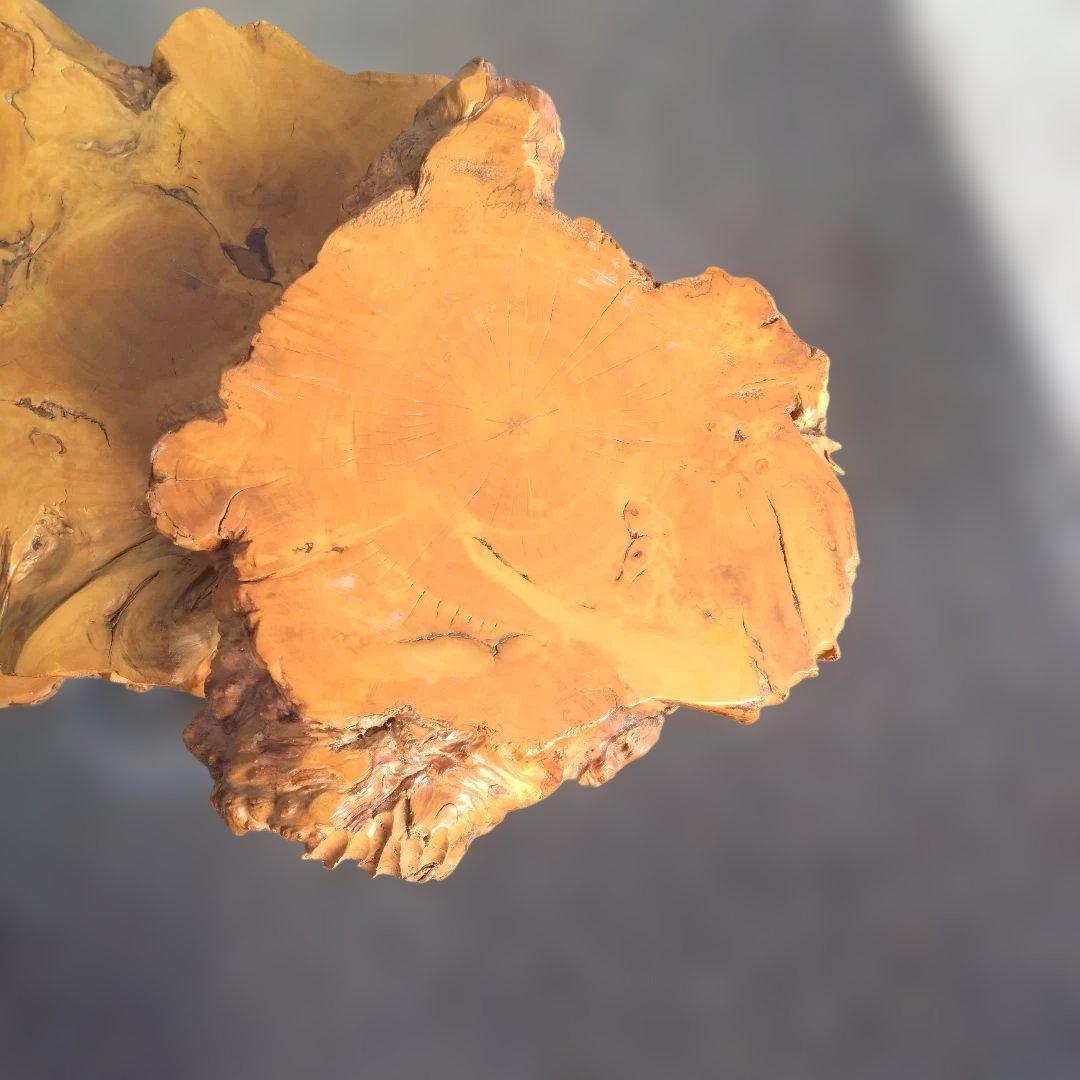 花台、工芸品、置物、自然木、アート、インテリア、展示会、盆栽、盆栽鉢