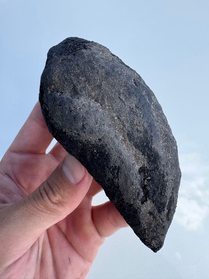 アロサウルス　化石　フットクロウ　恐竜