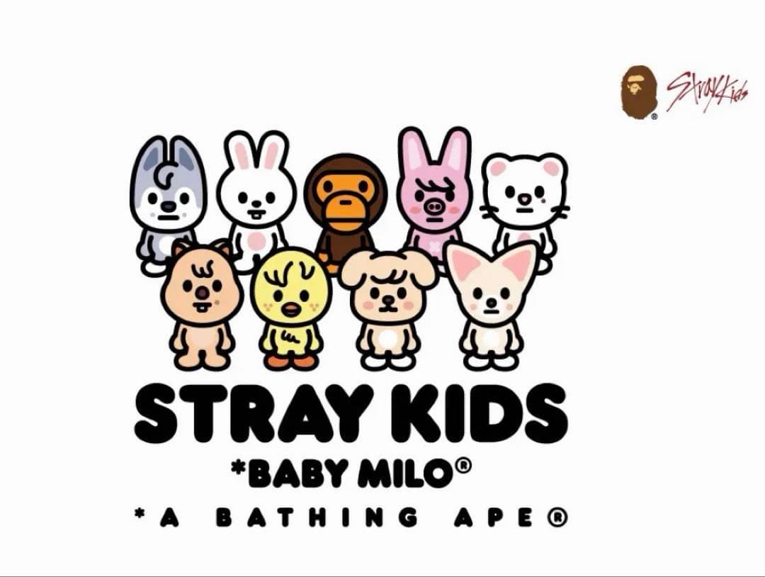 ポガリ✴︎APE SKZOO TシャツStray Kidsスキズアベイシングエイプ