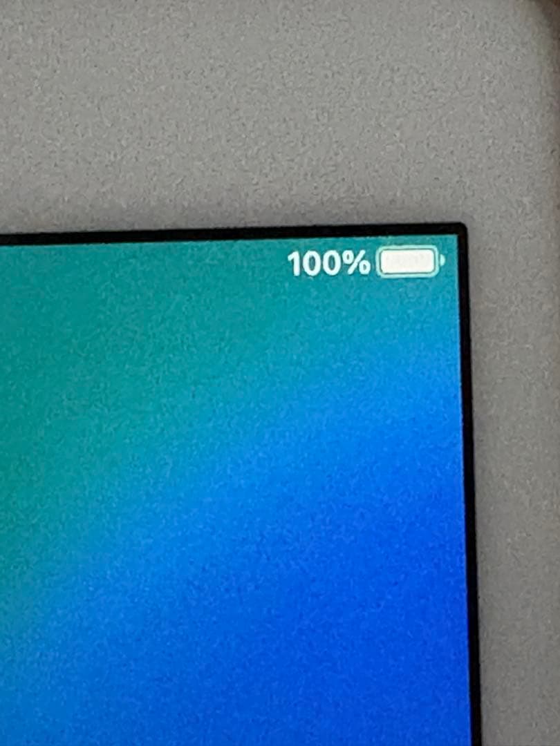 Apple iPad 本体第5世代　32G バッテリー残量100%