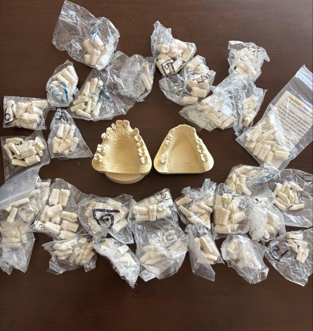 最終価格　歯科　支台歯形成　練習模型　セット