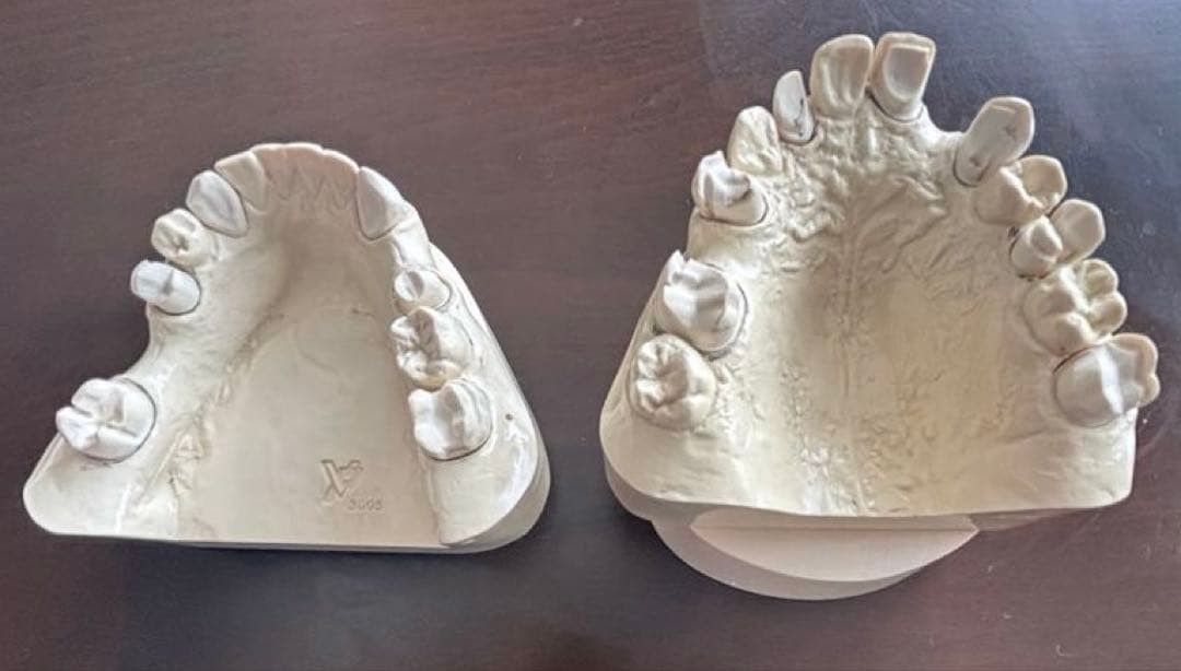 最終価格　歯科　支台歯形成　練習模型　セット